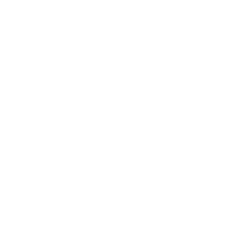 Certification Icon