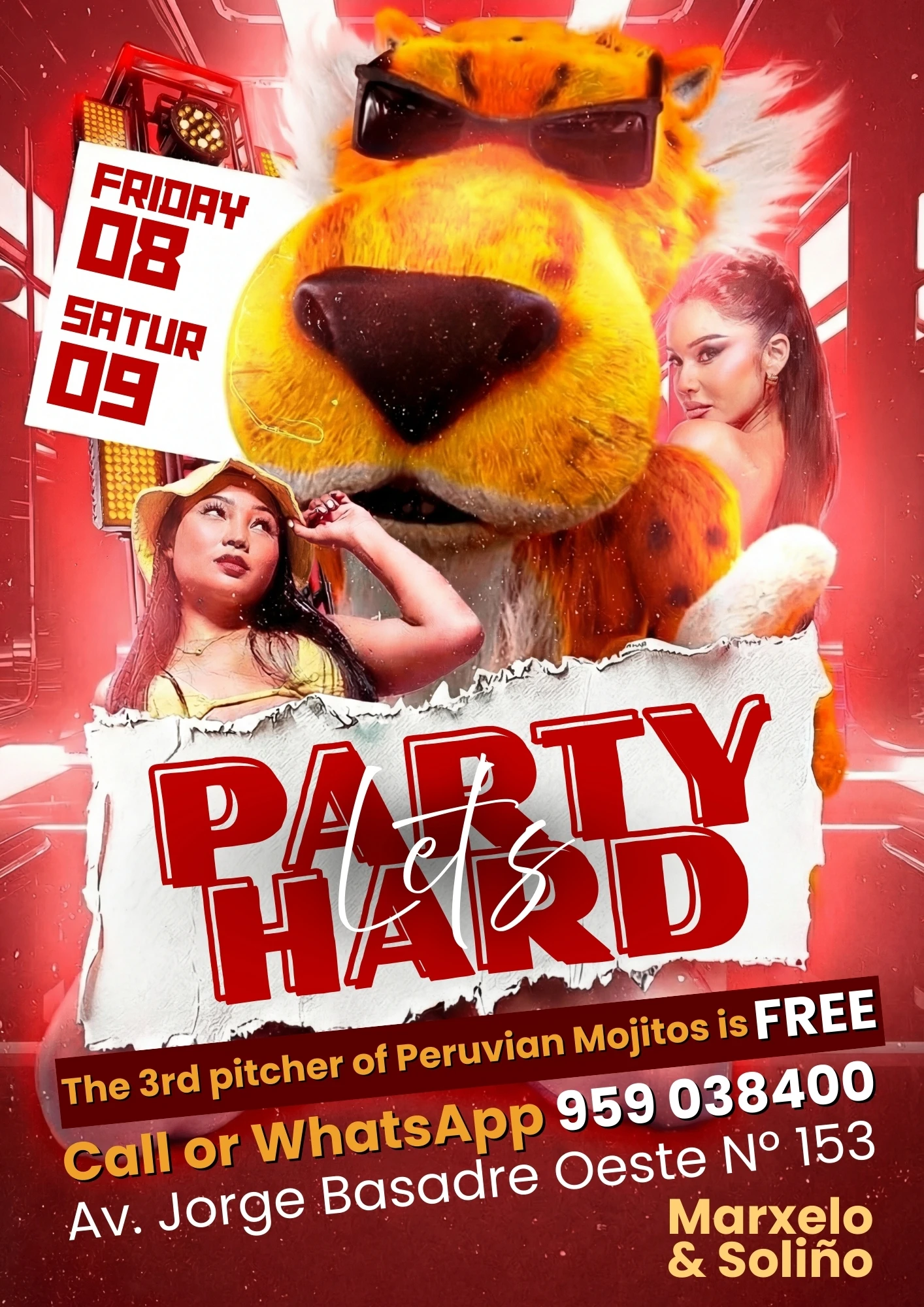 Night Vibes party poster